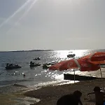 Nesic Peroj * Фажана