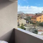 Nesic Peroj *